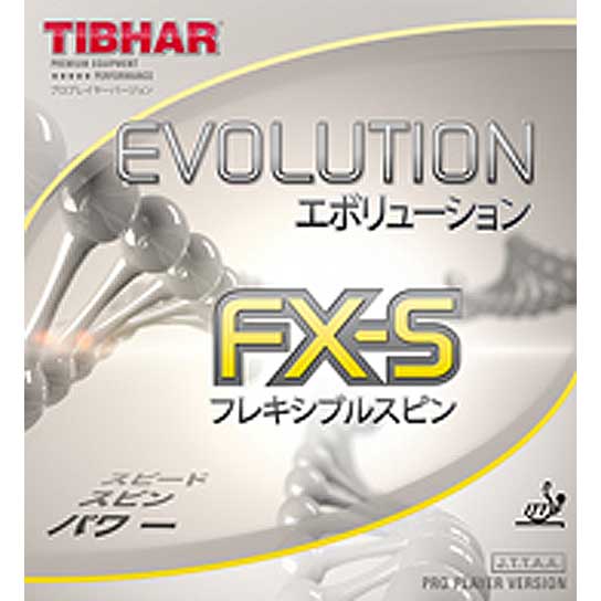 EVOLUTION FX-S - Click Image to Close