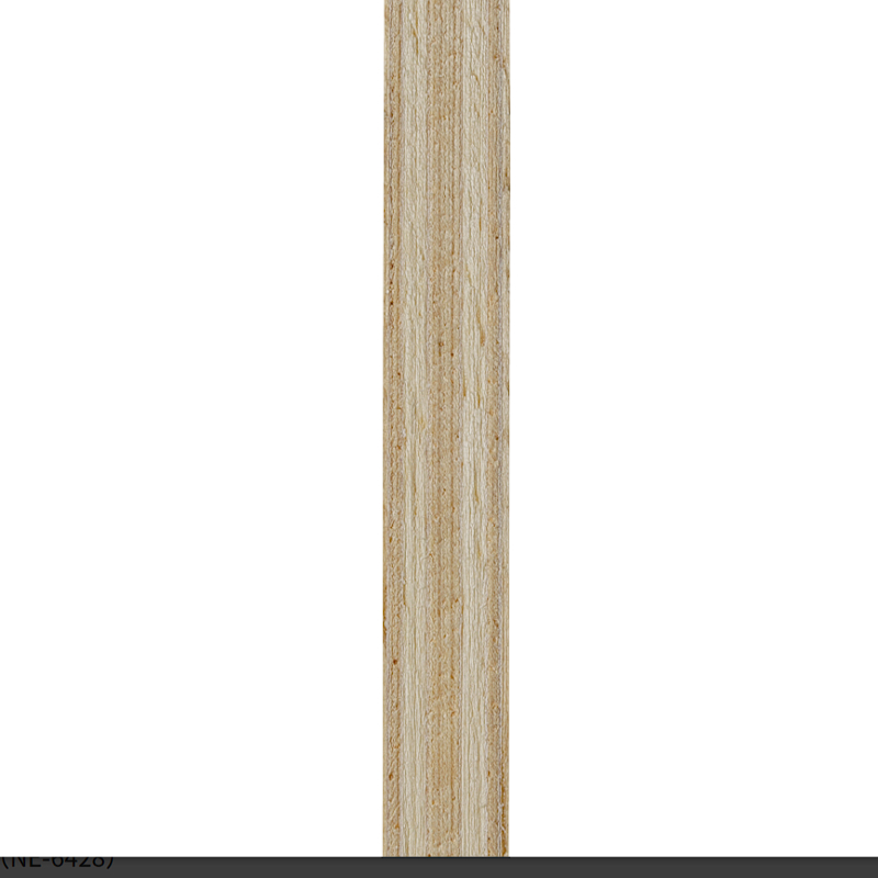 (image for) HINA HAYATA E2