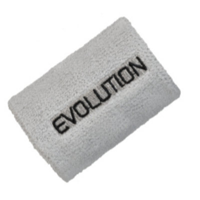 EVOLUTION WRIST BAND